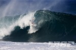 Video Julian Wilson On His Rookie Of The Year Achievement 