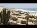 2014 Los Cabos Open of Surf Trailer