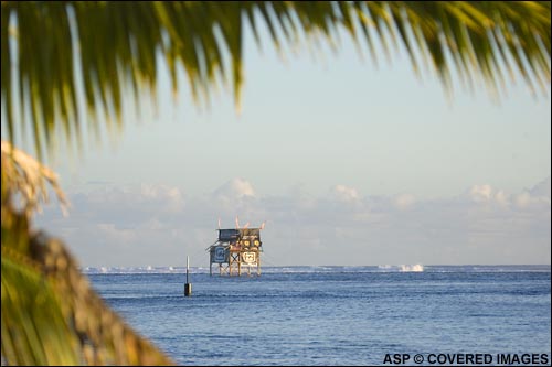 Billabong Pro Teahupoo Tower.  Pic Credit ASP Tostee